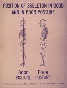 Dr. Allen Maryott Rocky Hill - Skeleton Posture