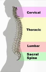 Dr. Allen Maryott Rocky Hill - Spine Problems